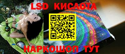 Альфа ПВП Можга