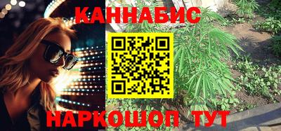 Альфа ПВП Можга