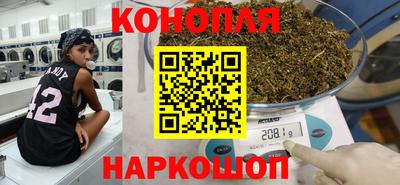 Альфа ПВП Можга