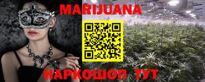Альфа ПВП Можга