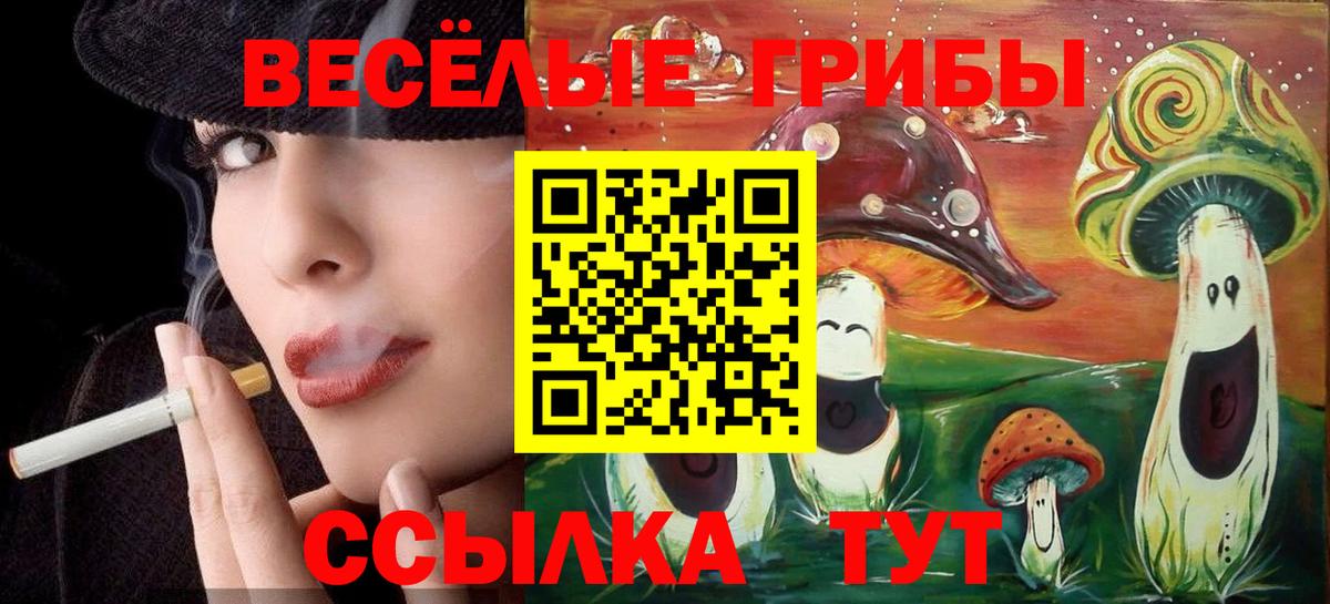 Большой Камень  Галлюциногенные грибы мухоморы  Вход с VPN 